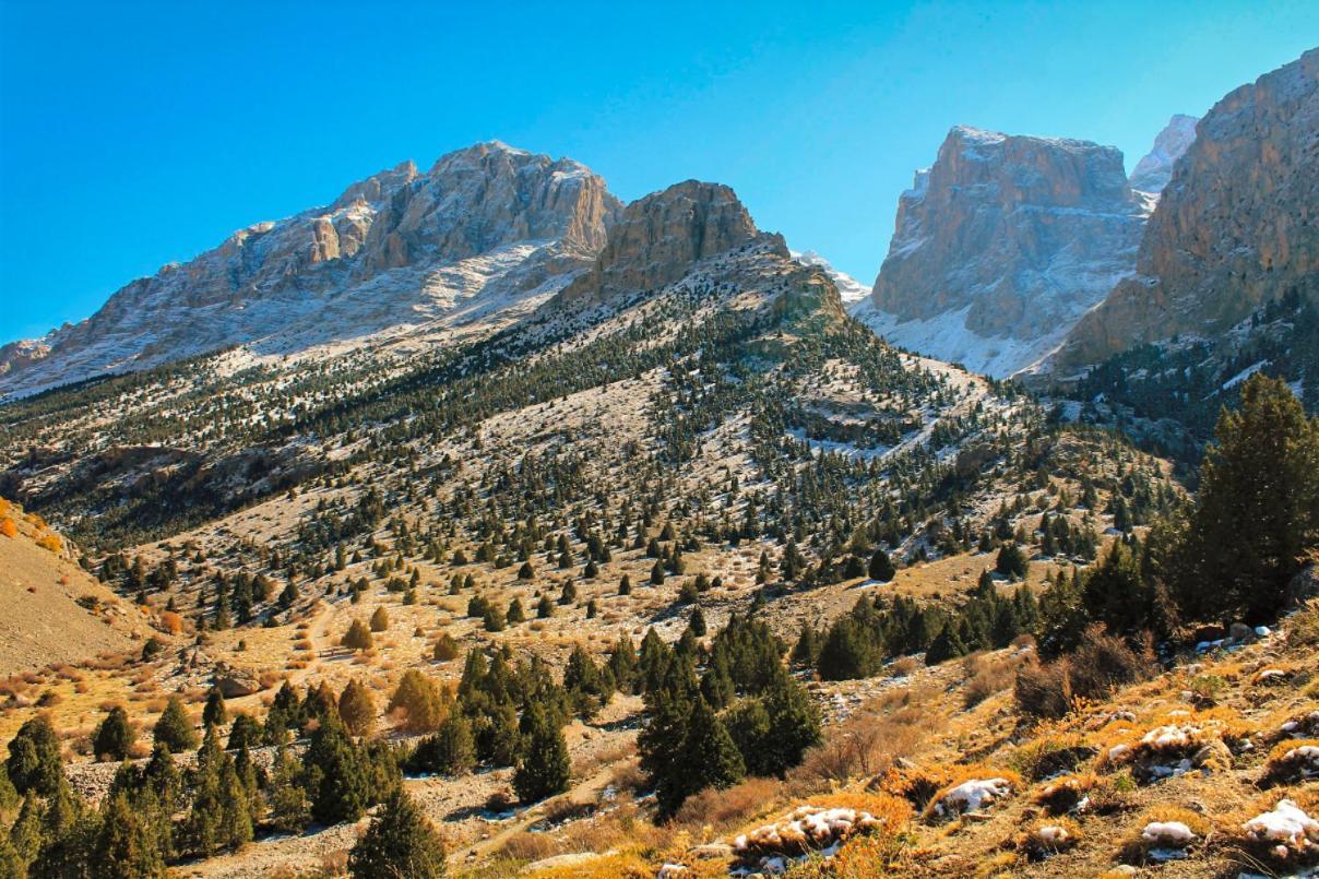 Aladaglar Mountain Hostel Cukurbag (Nigde) Bagian luar foto