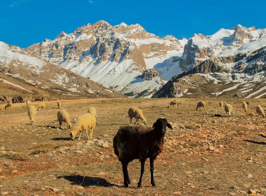 Aladaglar Mountain Hostel Cukurbag (Nigde) Bagian luar foto